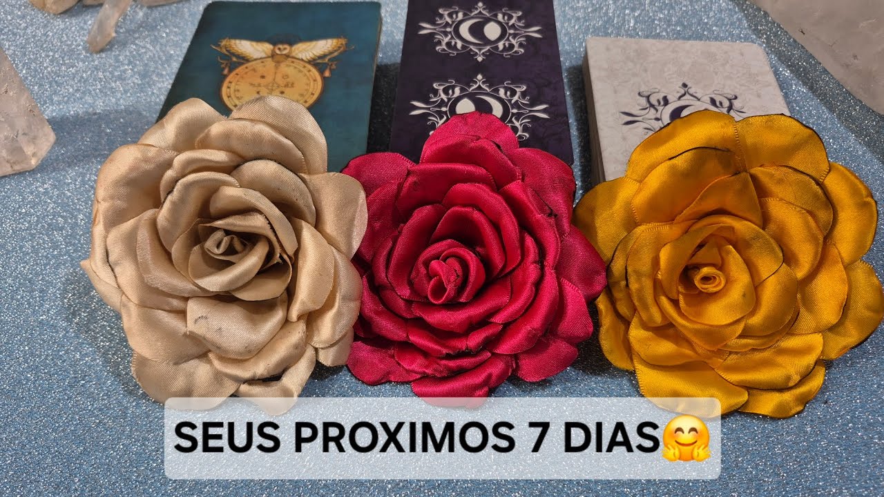 SEUS PROXIMOS 7 DIAS #tarô #baralhocigano🤗