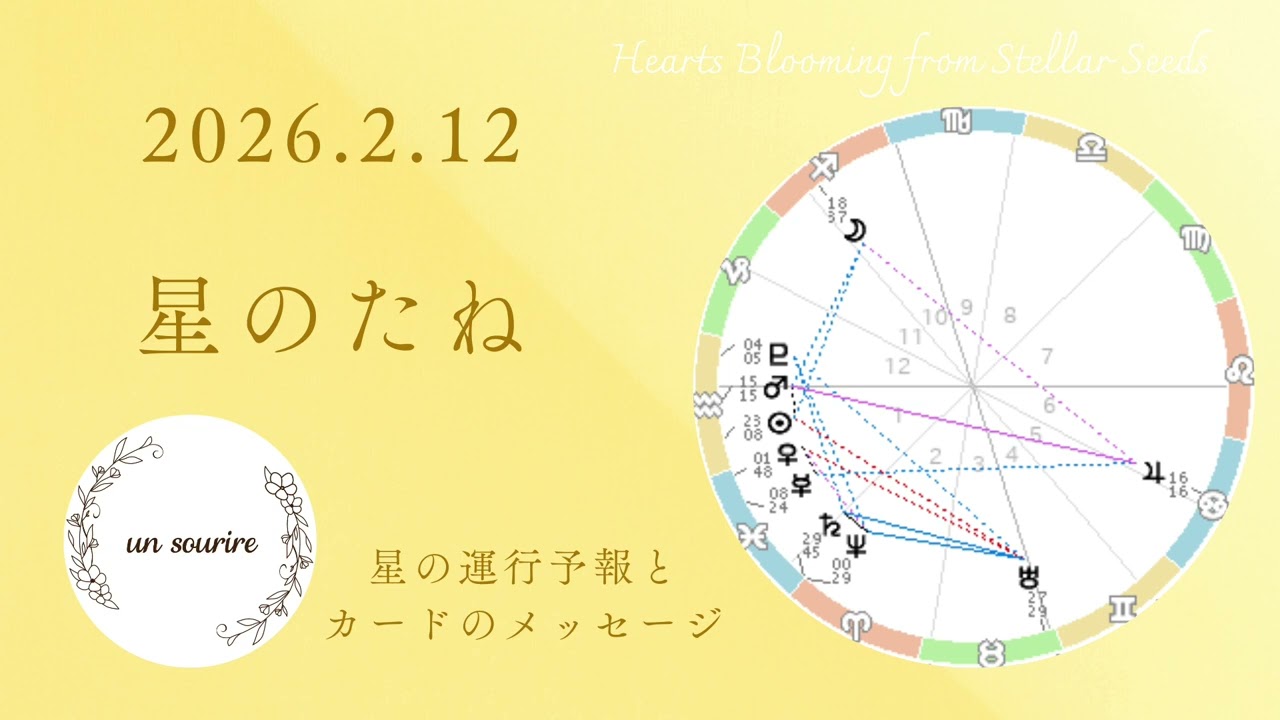 水瓶座火星＆太陽のエネルギー♒️未来の計画が捗りそう🌟2/12メッセージ