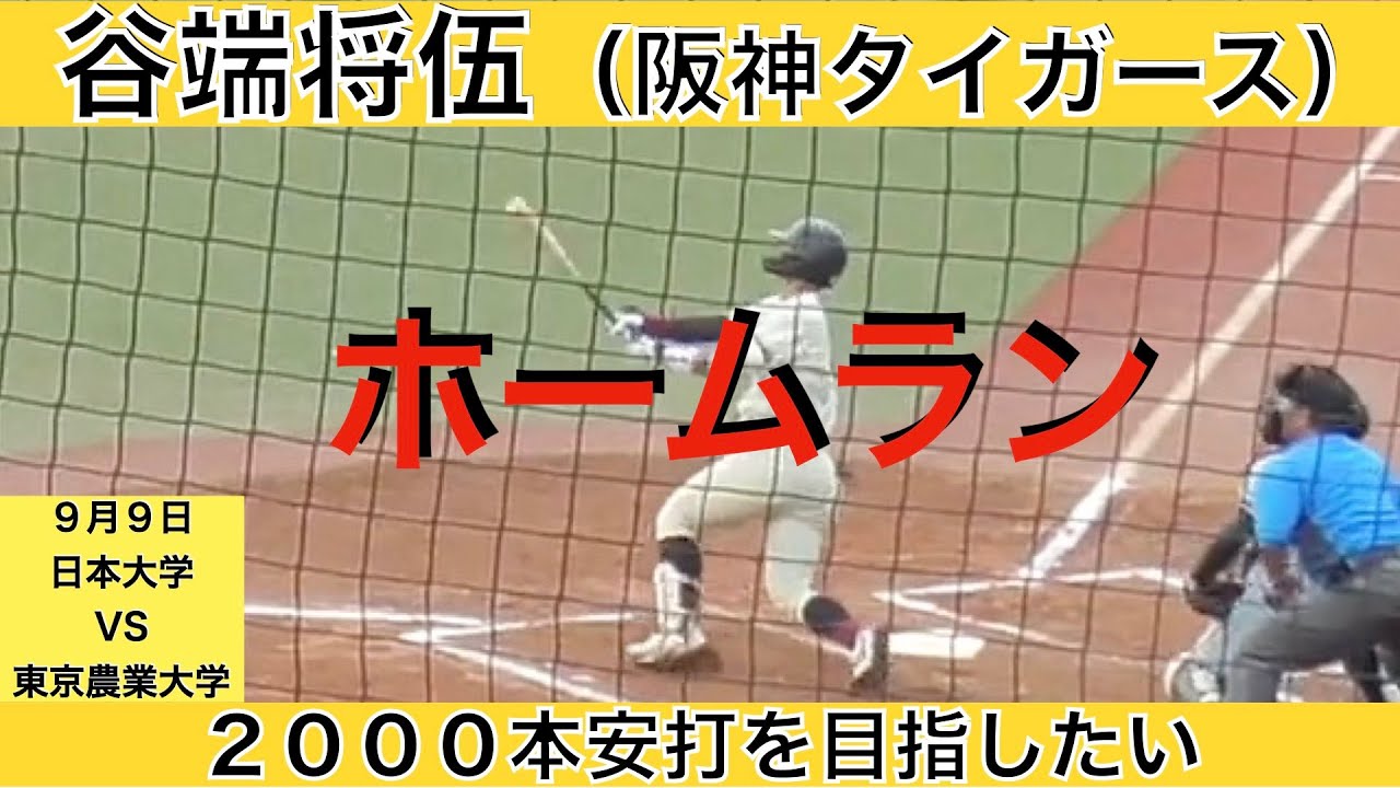 谷端将伍（阪神タイガース）ホームラン