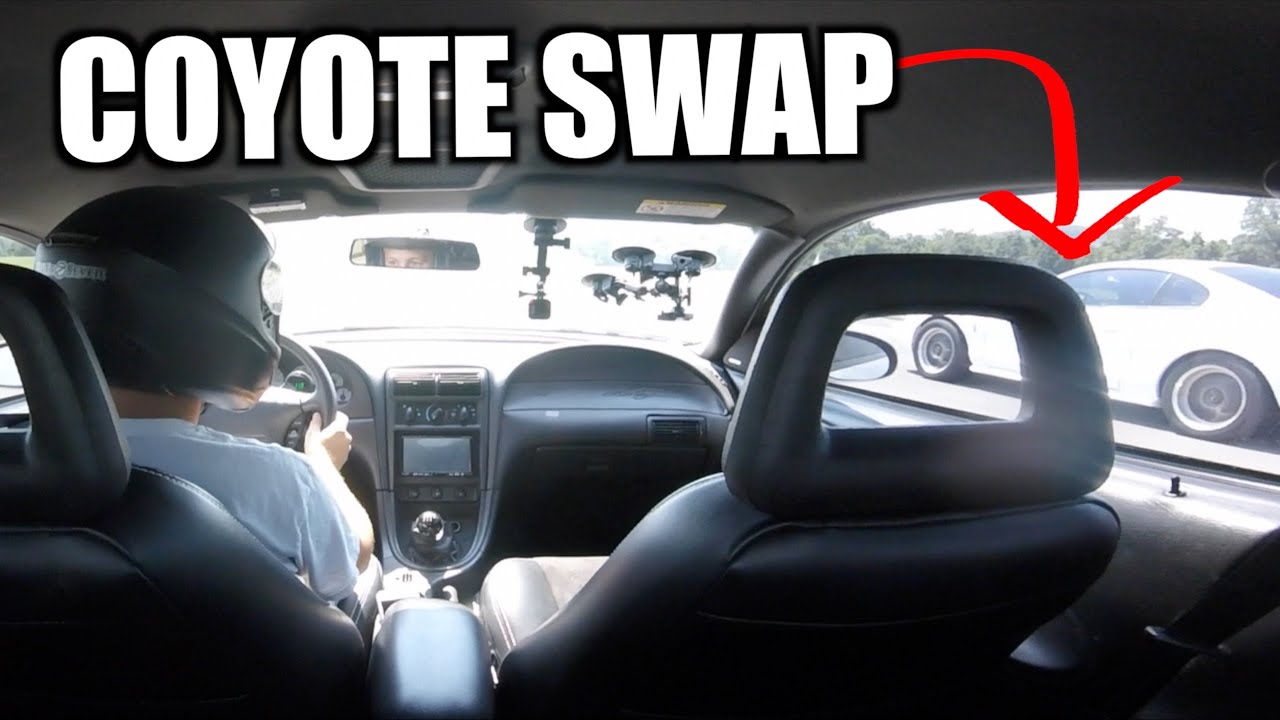 Coyote Swap COBRA vs Terminator COBRA 1/4 Mile drag race
