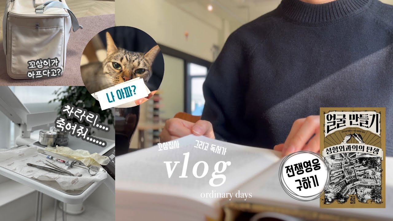 vlog | 독서브이로그 | 한 사람의 인생을 구하는 이야기 | 얼굴 만들기 | 치과공포증으로 죽어가는 사람 여기 있어요 | 꼬마고양이와 함께하는 일상 | ordinary days