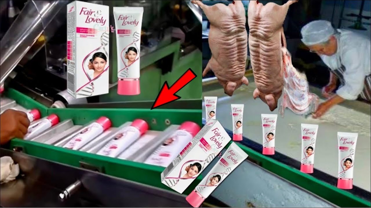 দেখুন ফ্যাক্টরিতে কিভাবে তৈরি হচ্ছে Fair & Lovely || Fair and Lovely & other manufacturing company