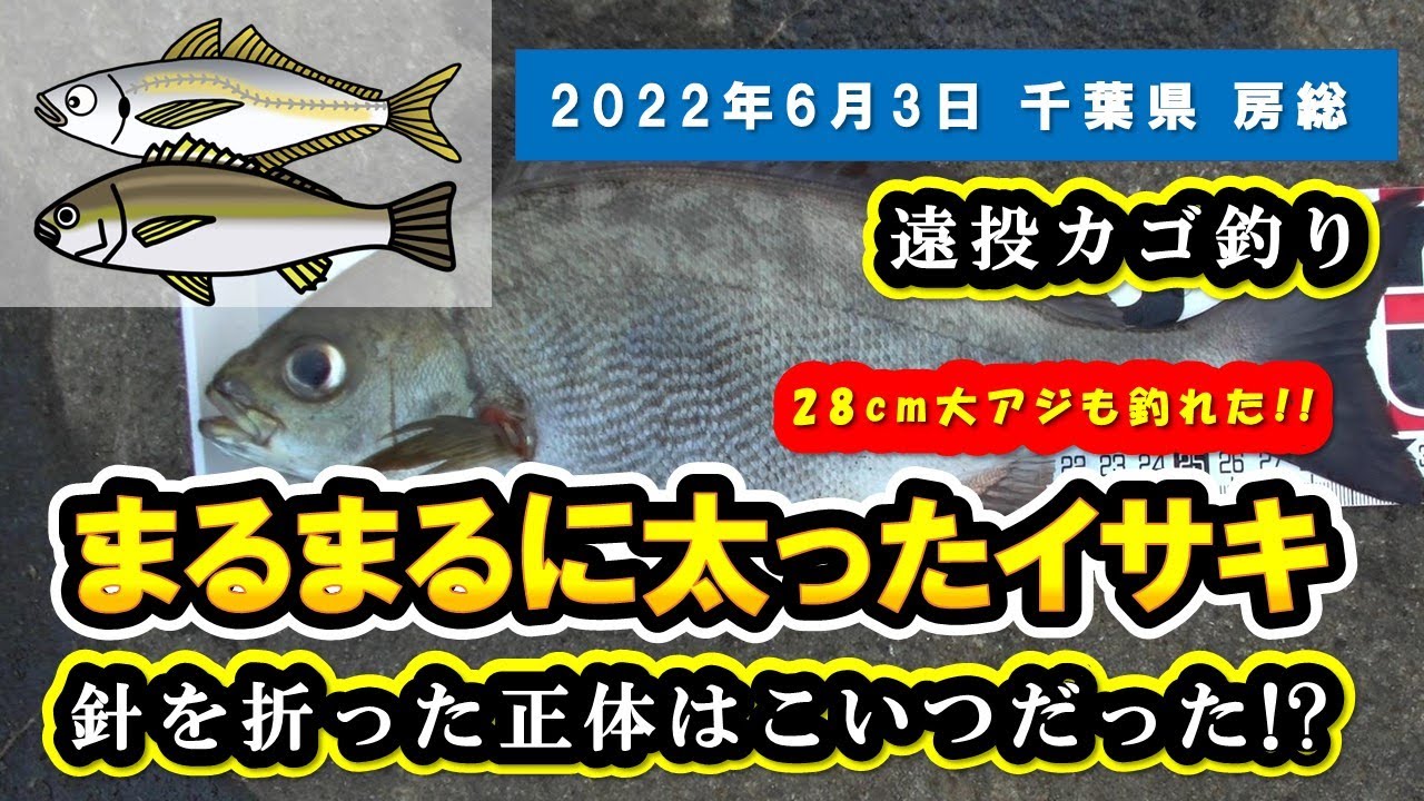 【千葉県 房総 地磯】遠投かご釣り。まるまる太ったイサキと28cmの大アジ!!これが2週間前に針を折った正体か？『いさき/あじ/夜釣り』