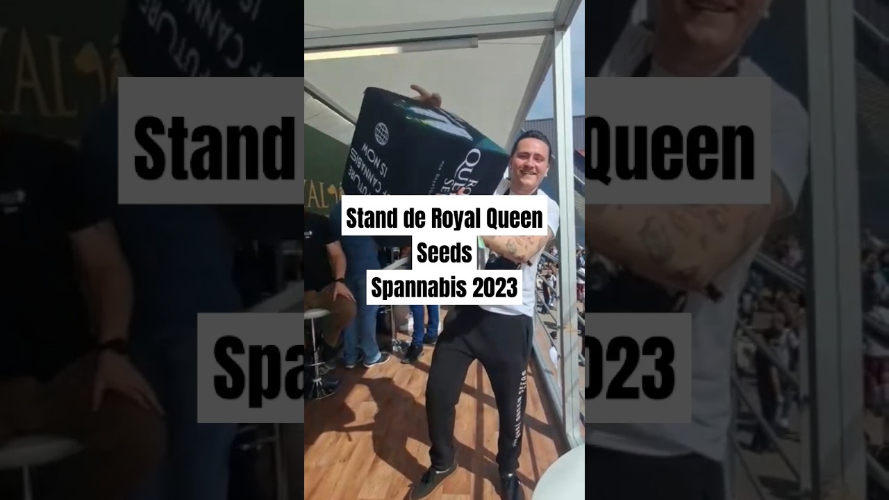 &iquest;Como era el Stand de @royalqueenseedsglobal en Spannabis 2023? 🤔 #barcelona