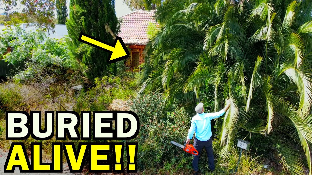 Rescuing An ELDERLY Man LOST IN A JUNGLE — What Happened Next Will Warm Your Heart!