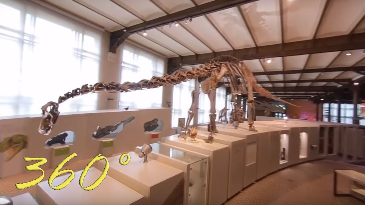 360° drone in het museum voor natuurwetenschappen, Brussel