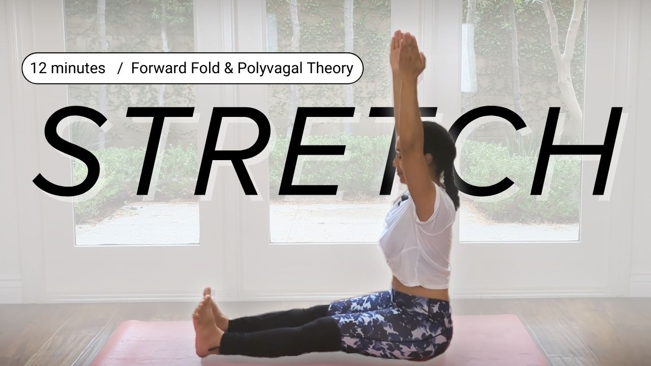 12 Min Stretch & Nervous System Regulation | Polyvagal Theory in Practice