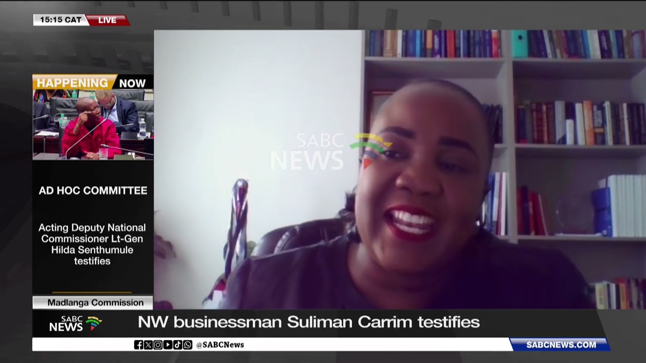 Madlanga Commission | NW businessman Suliman Carrim testifies: Professor Kholofelo Rakubu weighs in