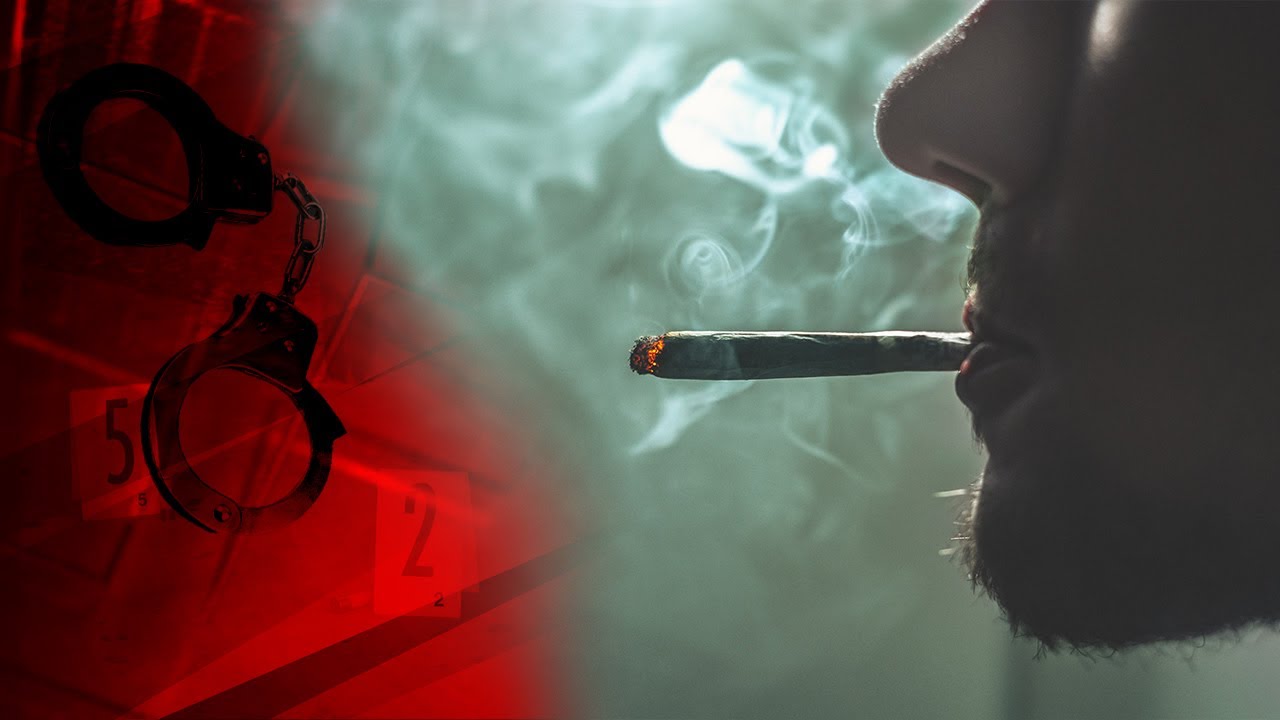 Сын развозит закладки, мама - фасует товар! Почему семейный наркобизнес накрылся