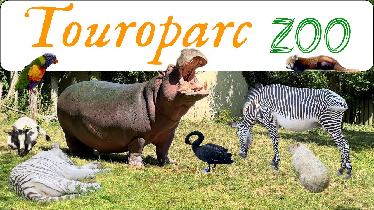 Touroparc Zoo - France 20/07/2024