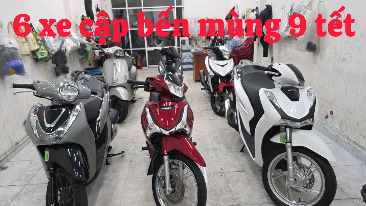 6 xe cập bến mùng 9 tết 