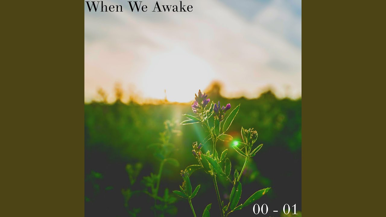 When We Awake