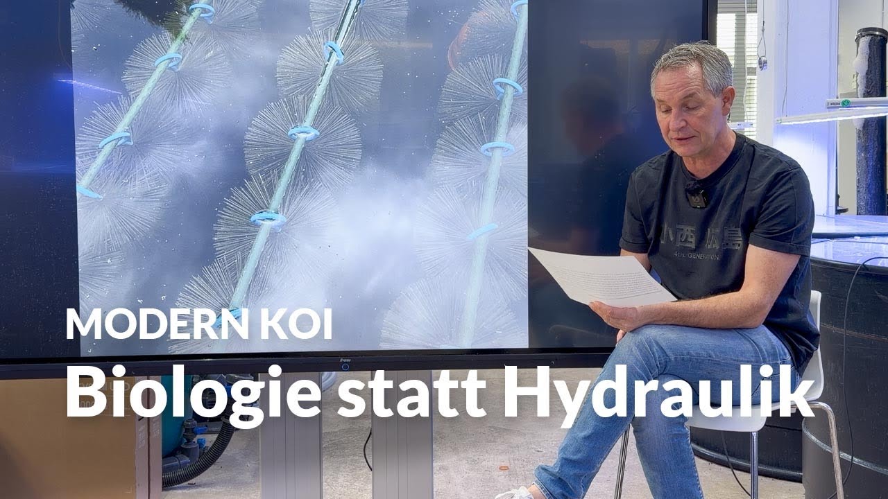 B&uuml;rstenfilter mit Kreidetest: so flie&szlig;t das Wasser wirklich | Modern Koi Blog #7984