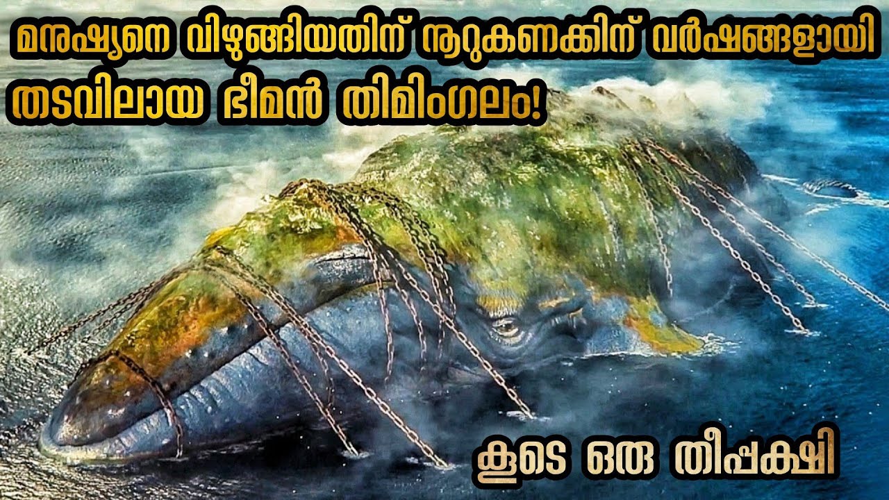 അത്ഭുതങ്ങൾ നിറഞ്ഞ യാത്രകൾ അവിടെ കണ്ട ഞെട്ടിപ്പിക്കുന്ന സംഭവം  | കണ്ണിനെ വിസ്മയിപ്പിച്ച കാഴ്ചകൾ