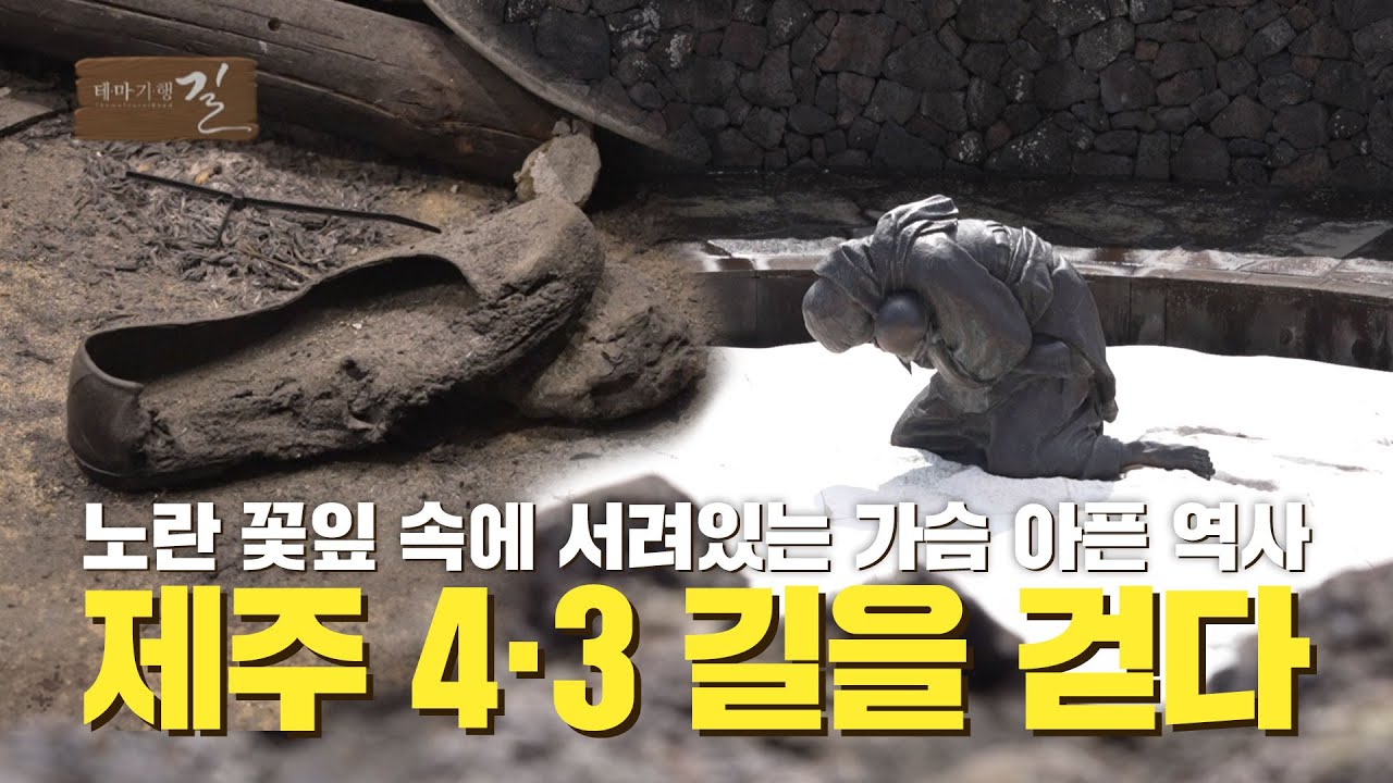 노란 꽃잎 속에 서려있는 가슴 아픈 역사 제주 4·3 길을 걷다 | 테마기행 길 | 25년 4월 25일
