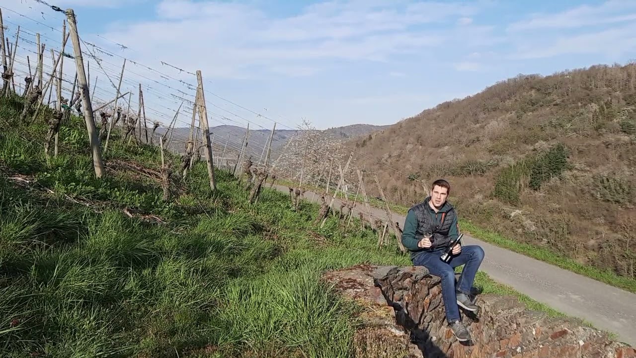 2020er Oberdiebacher Fürstenberg Riesling Kabinett fruchtsüß - Weingut Dr. Kauer - Mittelrhein