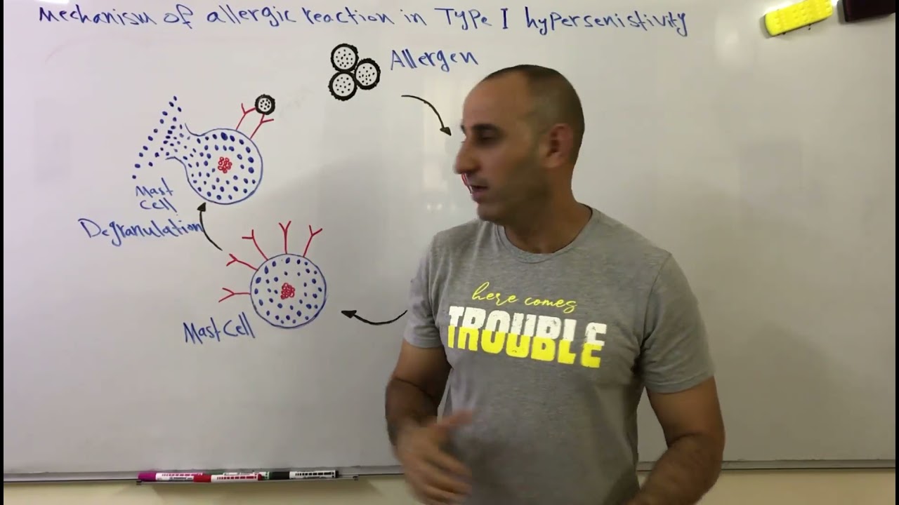 صدمة الحساسية التي تحدث بسب الادوية ولسعات الحشرات وبعض الاكلات Anaphylactic shock (Anaphylaxis)