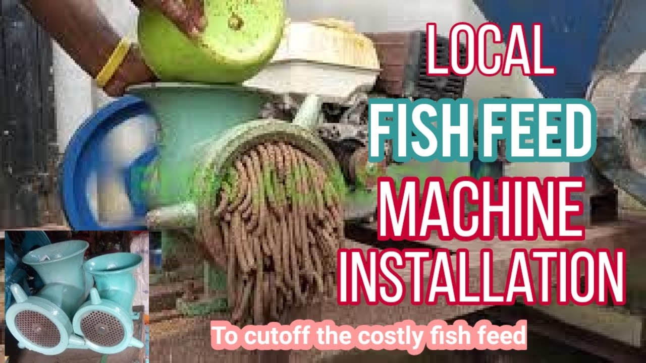Local fish feed machine installation