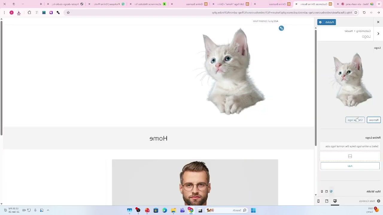 WordPress Theme and Customization