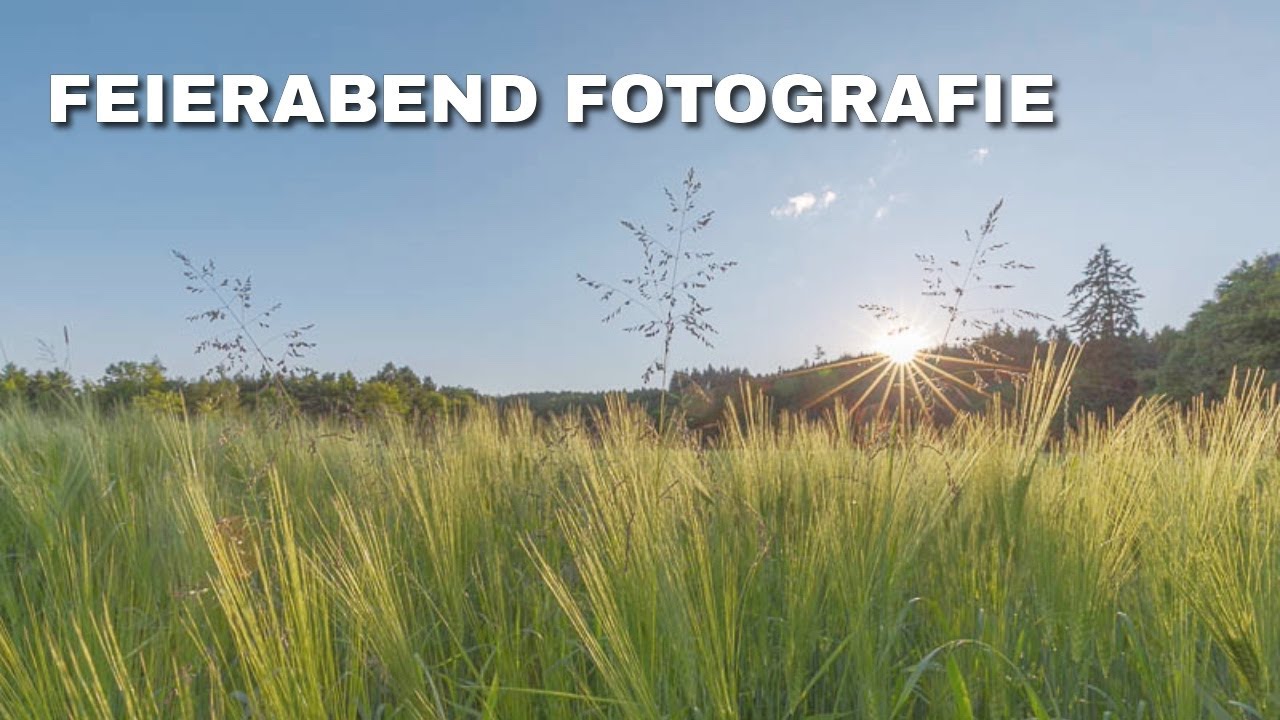 Fotografie nach Feierabend  | Spontan raus mit Kamera & Hund