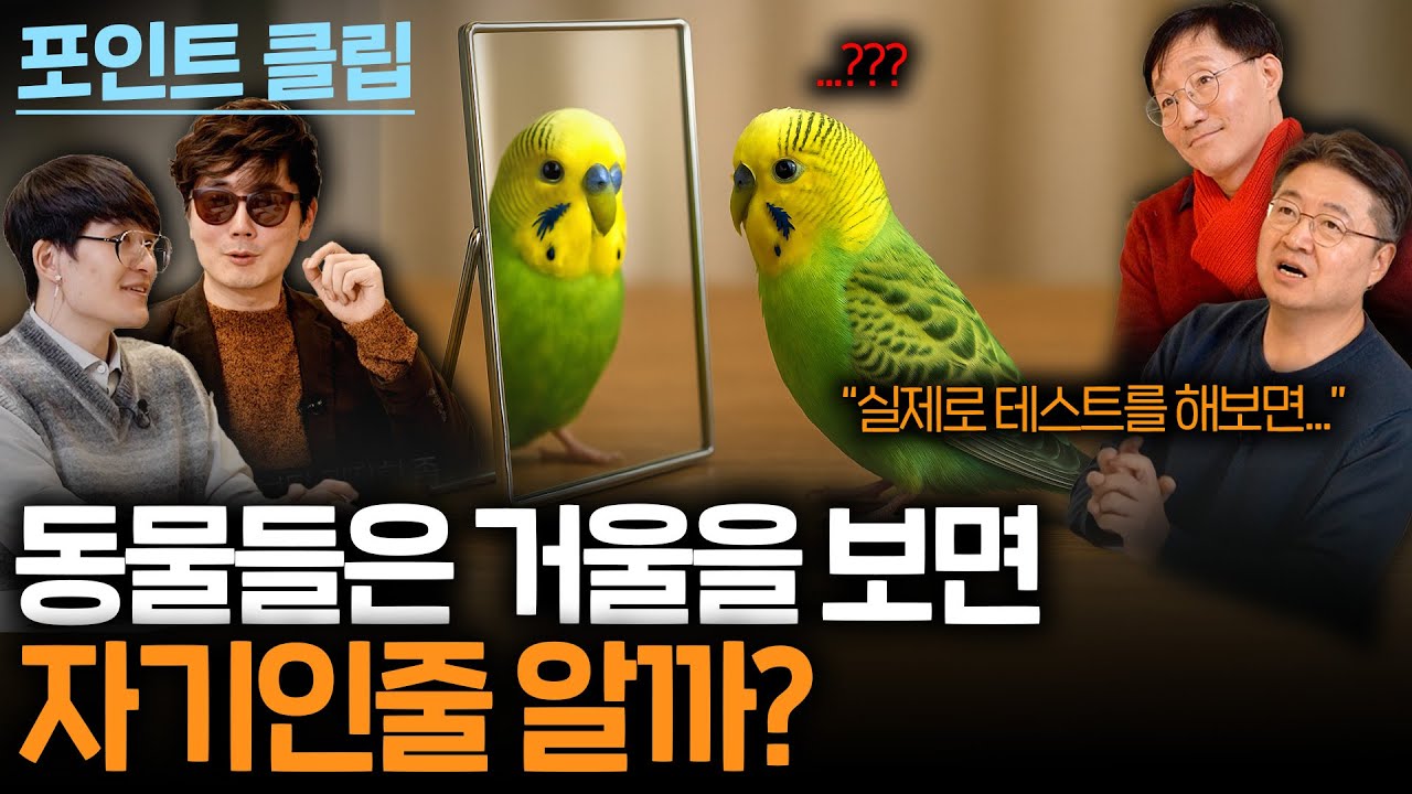 과학자도 놀란 소름돋는 지능을 가진 동물들