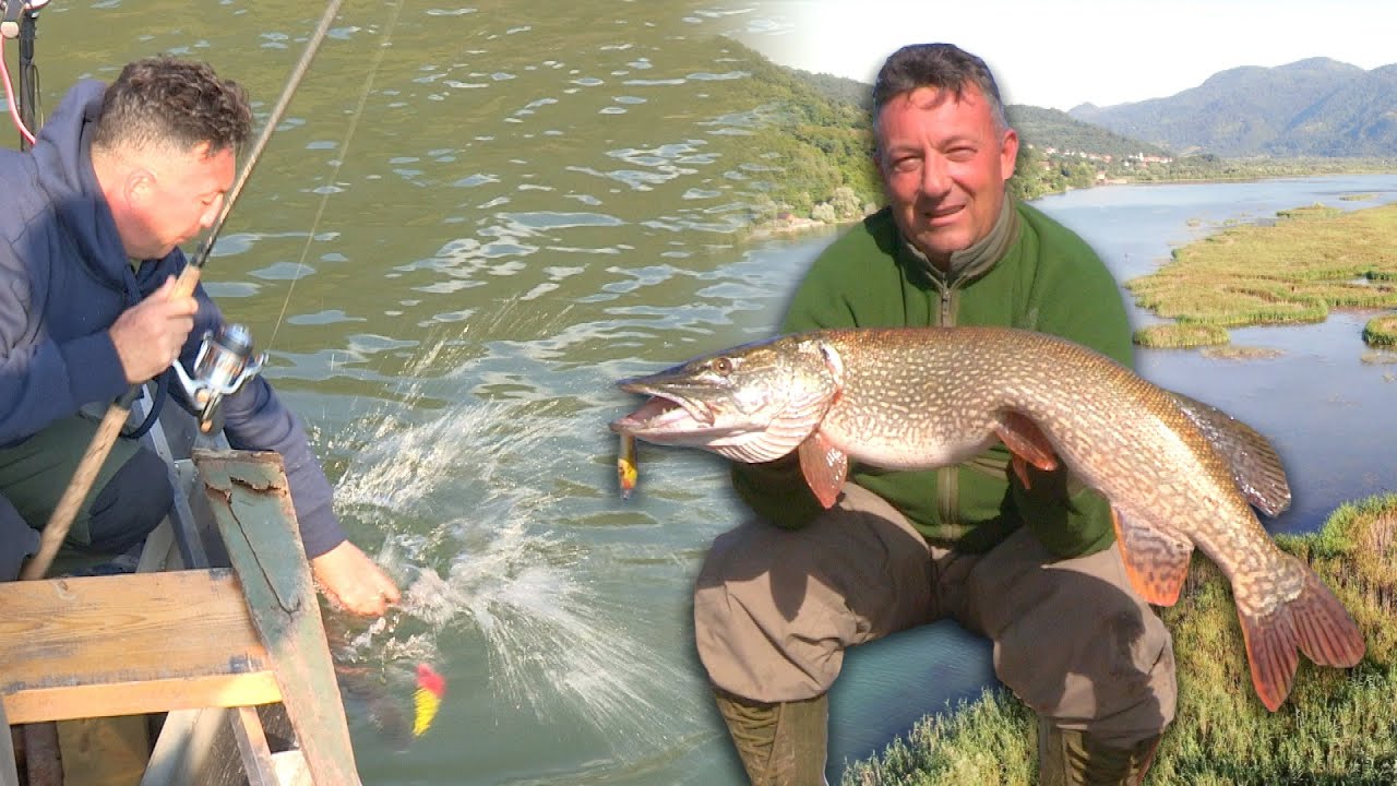 Pecanje štuke, šarana i deverike na Zvorničkom jezeru - Varaličarenje | Fishing big pike