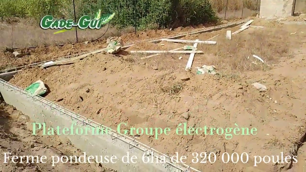 Constructions: Ferme Pondeuse sur 6Ha & Ferme Repro Agro-ecologique sur 50Ha