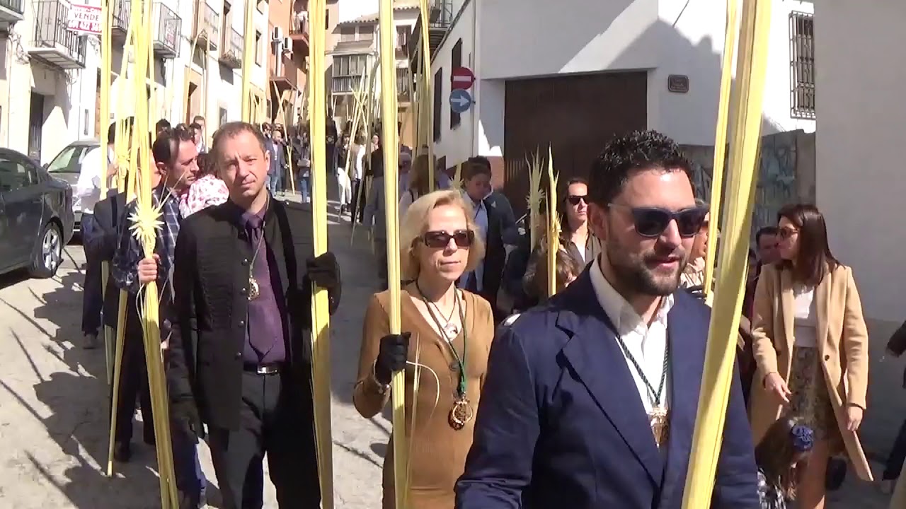 Banda de Cabecera Borriquillo, Procesión de las Palmas, Úbeda 2019