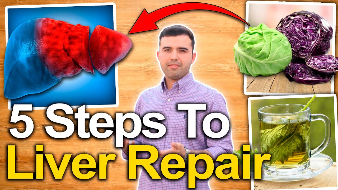 How To Repair Liver Damage From Alcohol and a Fatty Liver