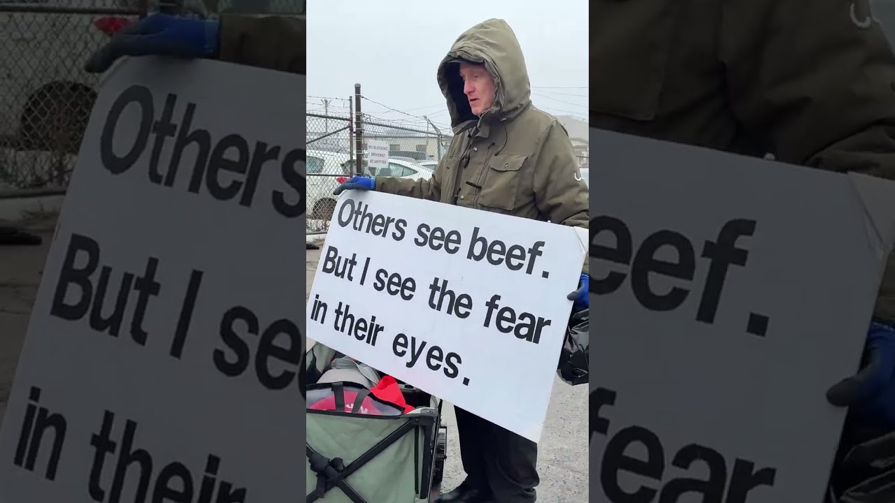 🔴 LIVE (BREAKING) Why Should We Care About These Cows? | LIVE Toronto Slaughterhouse.