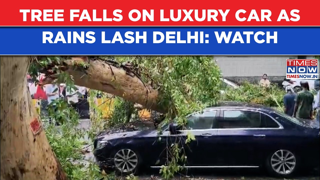 Delhi Rains: Massive Tree Falls On Luxury Car | India's Monsoon Woes On Cam Amid NCR's Heat Relief?