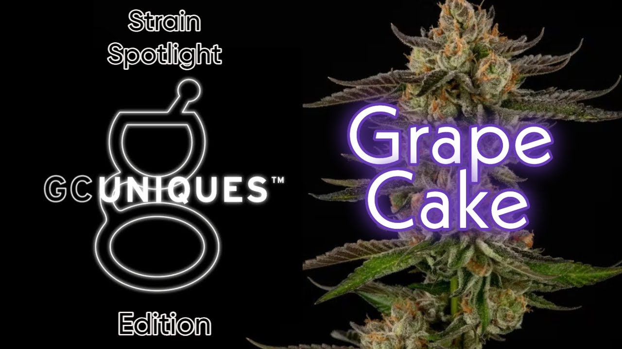 Grape Cake - Strain Spotlight - GC Uniques Edition