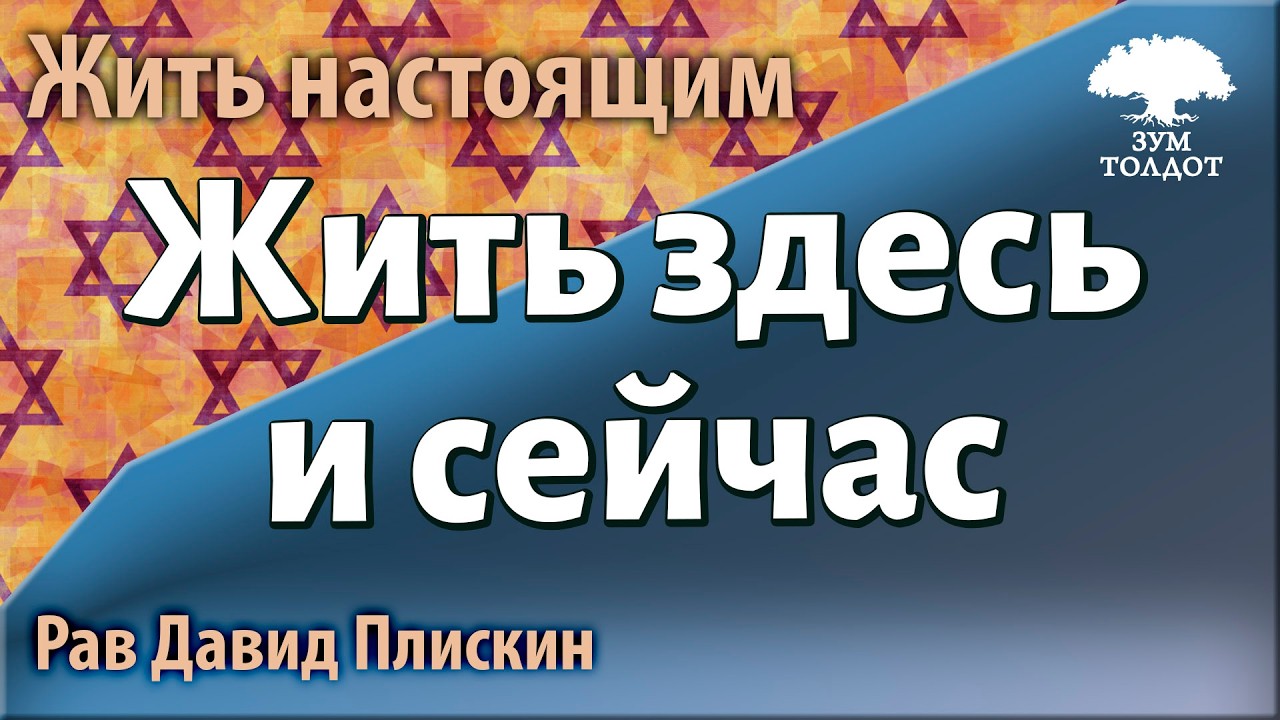 Жить здесь и сейчас. Рав Давид Плискин