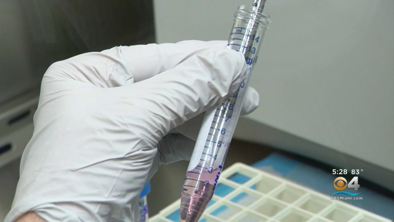 IVF In The Age Of Coronavirus