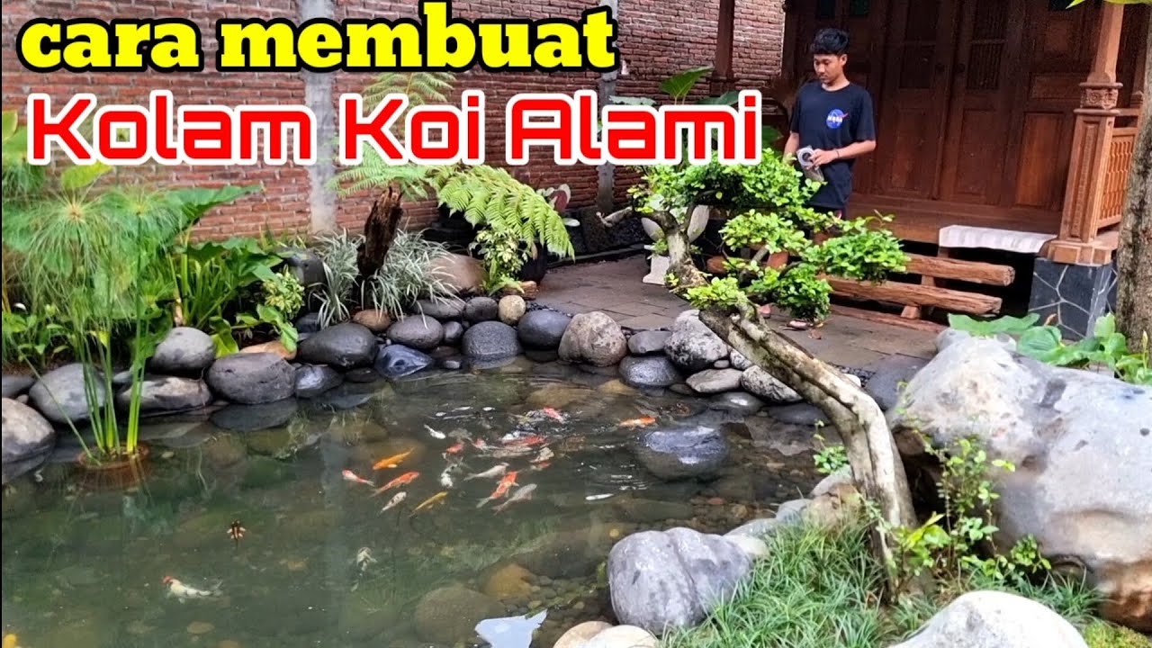 Cara membuat kolam koi alami di depan mushola