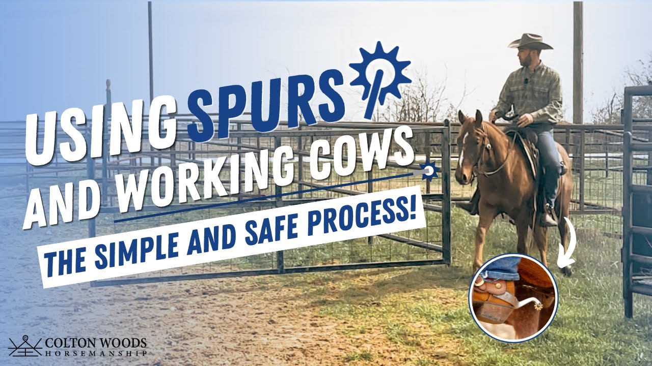 Introducing spurs safely for the first time (real training session!)
