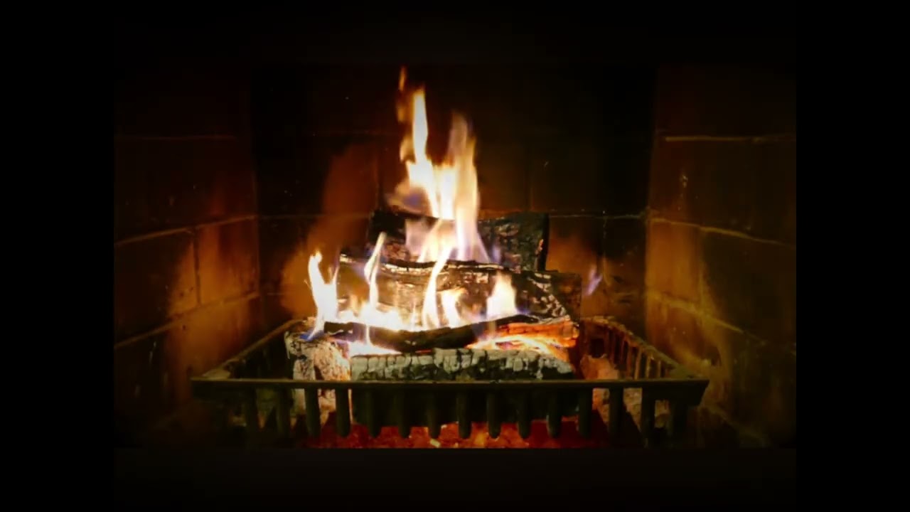 Christmas 2025 Real 4 best of