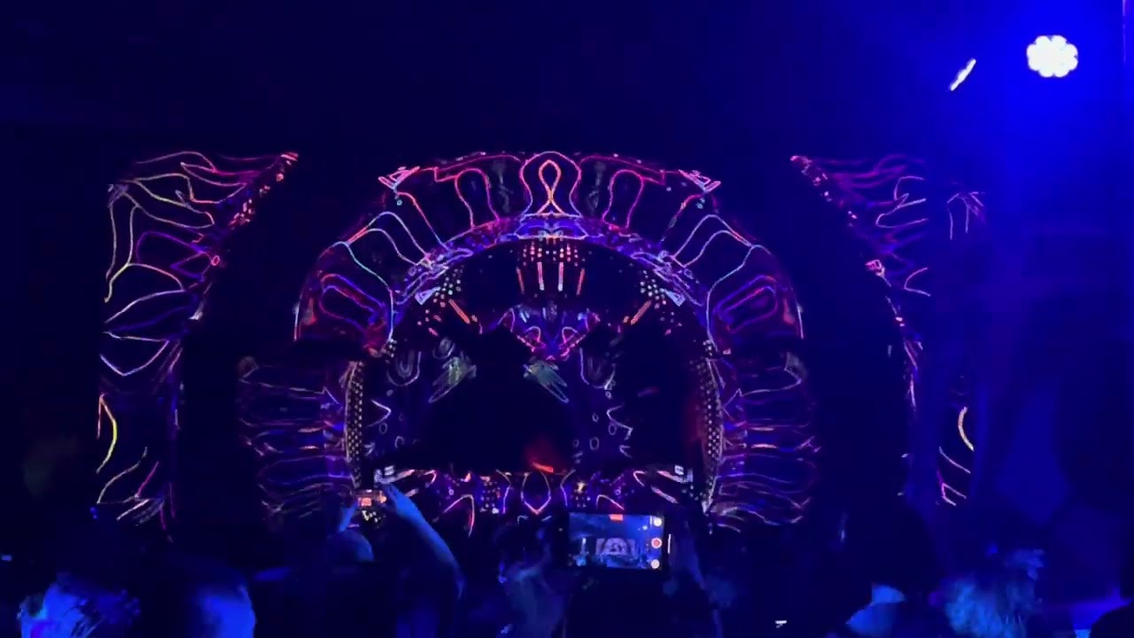 Shpongle @ Free Earth Festival 2025 (part 3)