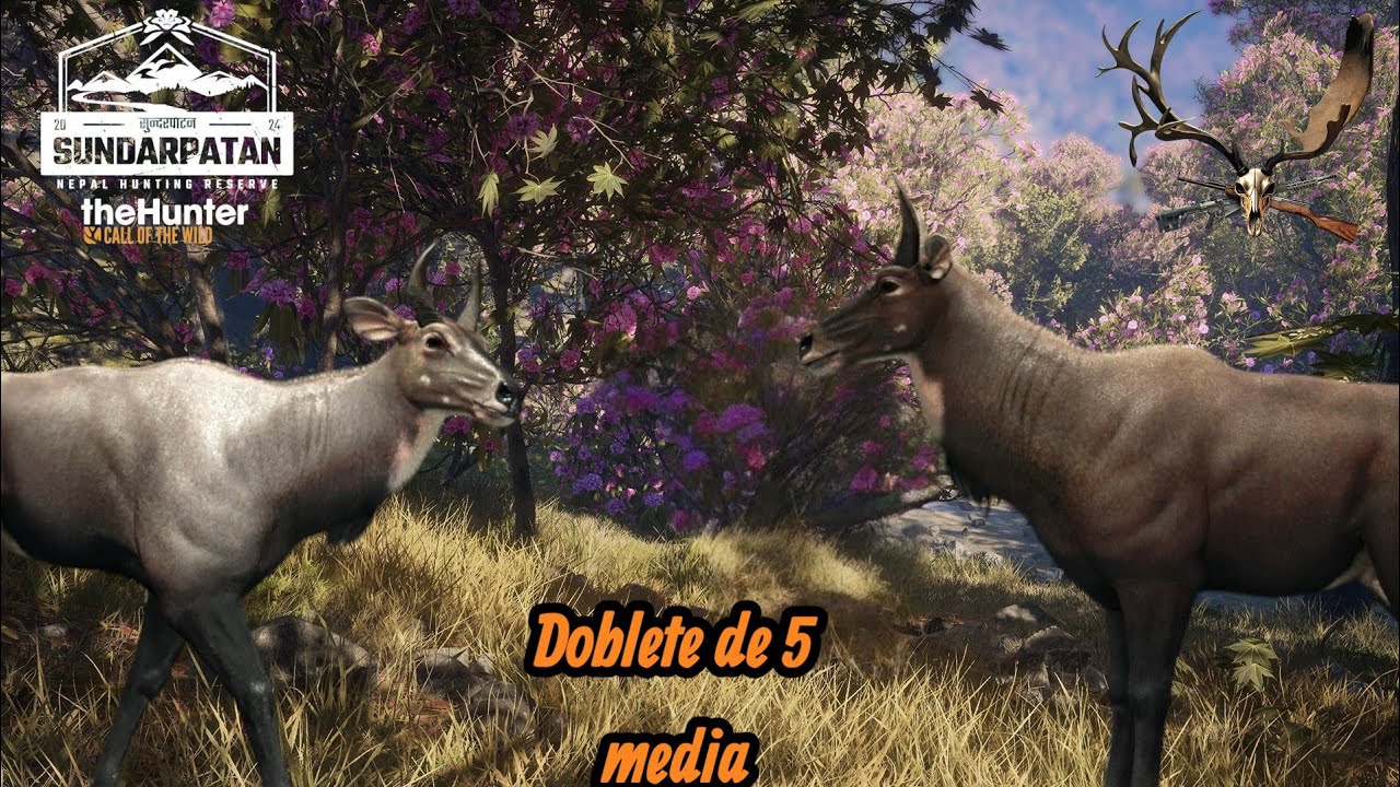 DOBLETE DE NILGO 5 MEDIA Y TORNEO GANADO-THE HUNTER CALL OF THE WILD.