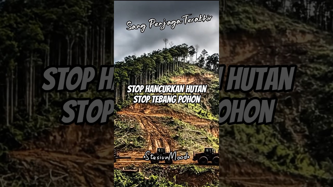 Duka Sumatera: Saat Alam Mengirim Pesan Pulang... 🌊🌳 #PrayForSumatera #SiklonSenyar #stasiunmood