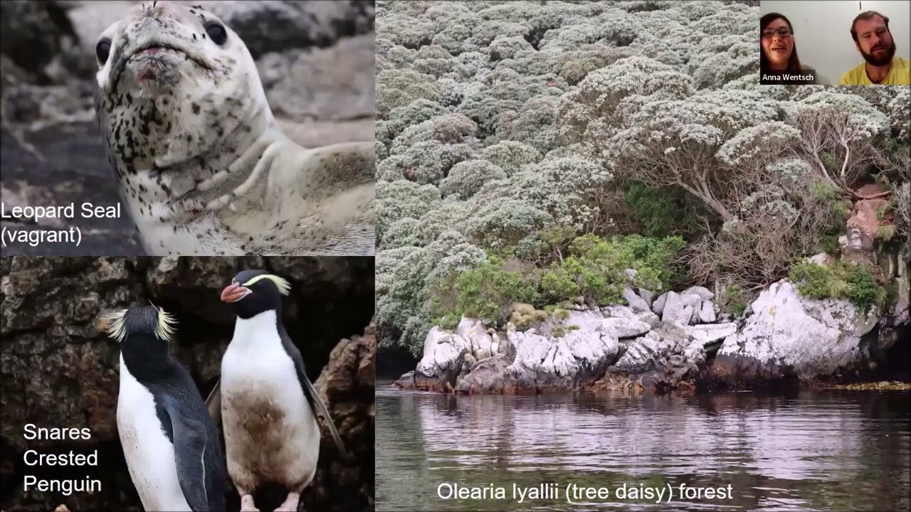 New Zealand's Subantarctic Islands & Their Predator Free Stories | Webinar