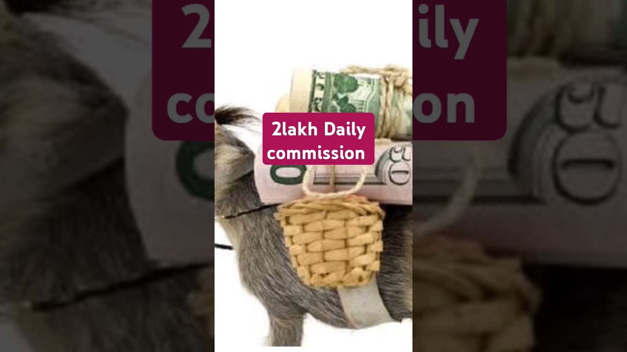 2 lakh daily commission,Money mule account,Cyber Criminal #moneymule #telegramjoboffer #cybercrime