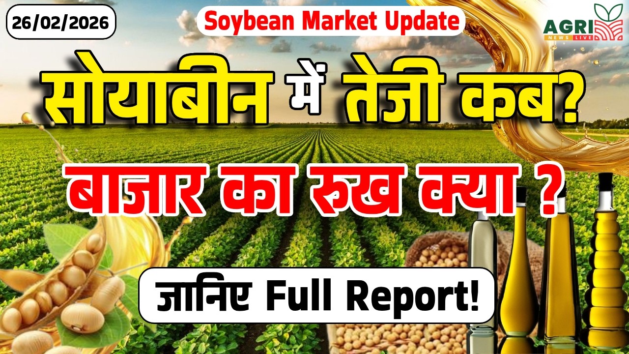 सोयाबीन अब कब होगी तेजी? | Soyabean Bhav Today | Soyabean Market Update