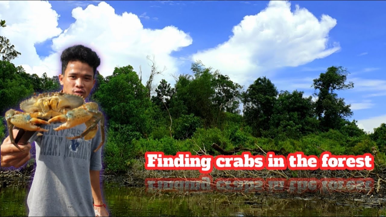 Catch And Cook Sea Crab the Beach-Crab Cooking on Sand[MrrSomPheaP]