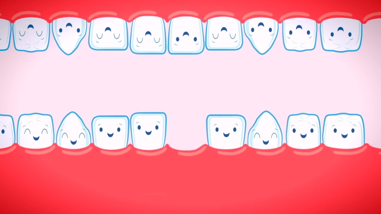Il Calendario di denti da latte e denti permanenti