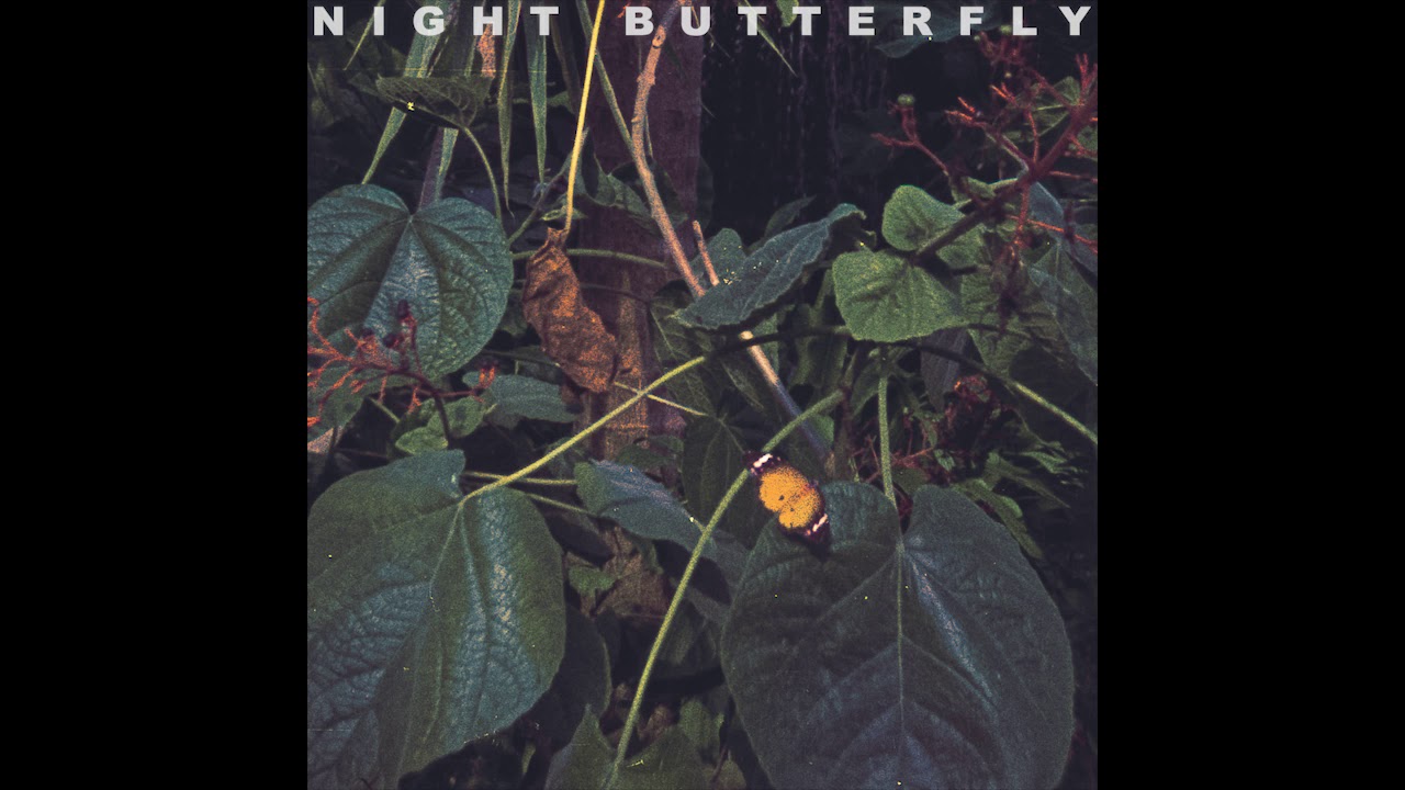 MIAW - Night Butterfly