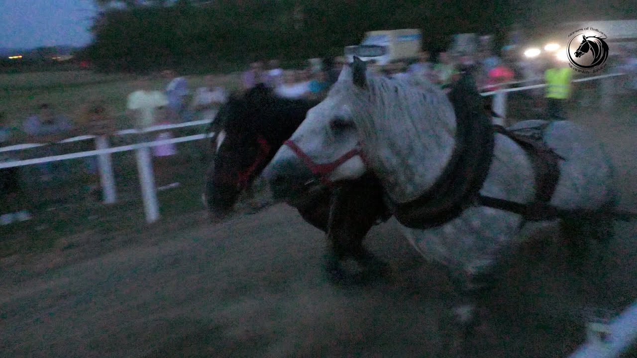 - ĆUPINA PRVAK POPOVAČE U TEŠKIM PAROVIMA -