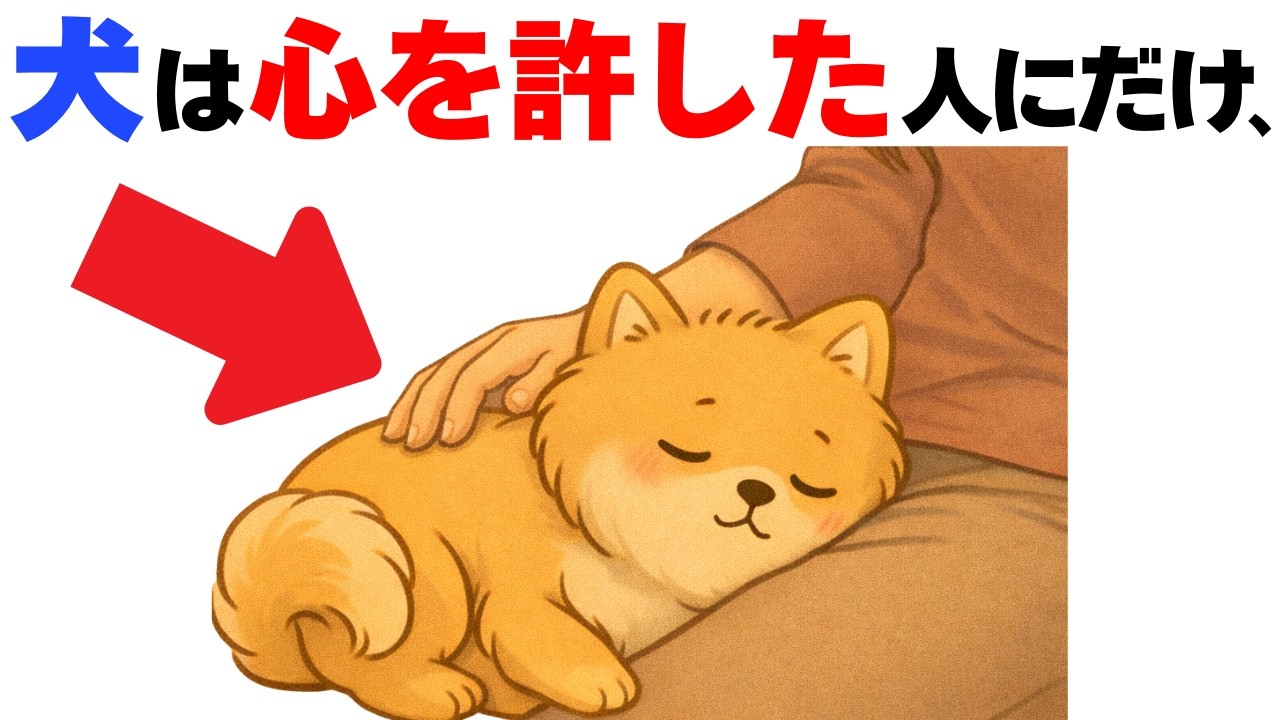 【知ってた?】犬が信頼してる人にだけ見せる１１の行動｜犬の厳選雑学
