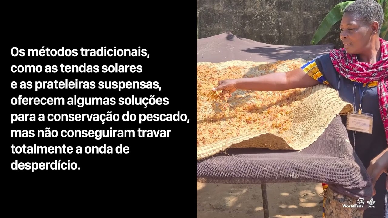 AABS apoia a redu&ccedil;&atilde;o de perdas e desperd&iacute;cio de alimentos na cadeia de valor de pescado na Tanz&acirc;nia