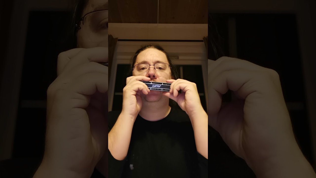 First impression - Easttop Forerunner Chromatic Harmonica